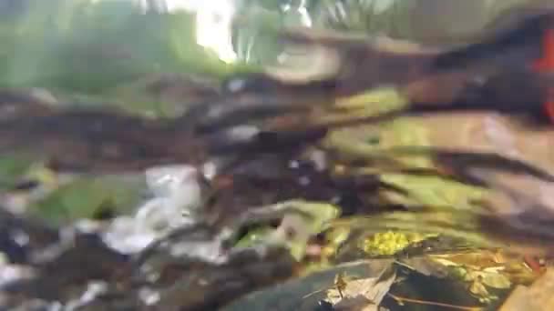 Lambat Gerak Sungai Air Bergegas Lebih Dari Kamera Lens Dengan — Stok Video