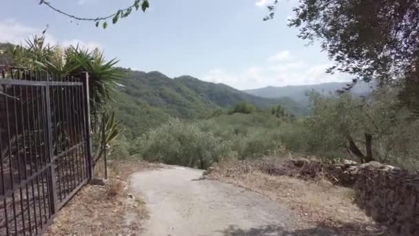 スローモーション リグーリア州のイタリアのプレル カステッロの山側を眺め 前景にオリーブの木公園 背景に山の森があります 青空と晴れた夏の日 — ストック動画