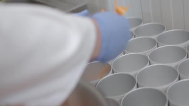 労働者は現代のきれいな工場で小さなスプーンを別の缶に入れ — ストック動画