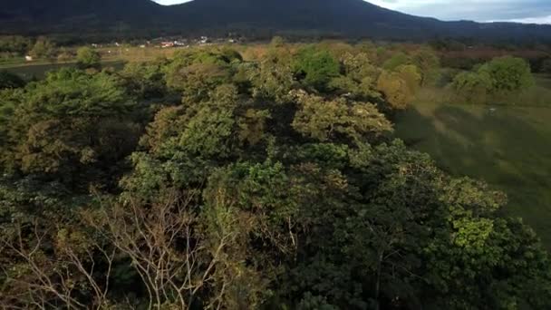 Ustalanie Ujęcia Wulkanu Arenal — Wideo stockowe