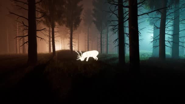 幻想的な夜の森の中の放射性鹿 3Dレンダリング — ストック動画