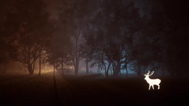 Ein Dunkler Wald Mit Einem Leuchtenden Hirsch 3Drendering — Stockvideo