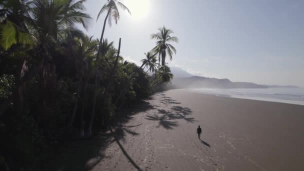 Spokojny Poranek Samotnie Plaży — Wideo stockowe