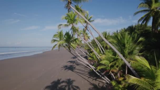 Pusta Plaża Kostaryce — Wideo stockowe