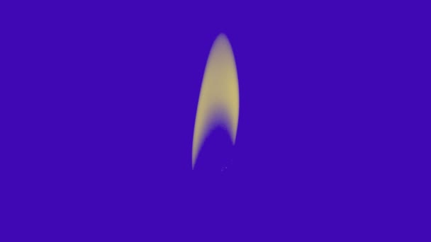 Крупним Планом Знімок Палаючої Свічки Фіолетовий Фон — стокове відео