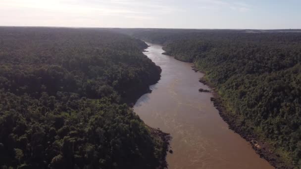 Iguazu River Flowing Amazon Rainforest Border Brazil Argentina Aerial Drone — Stock Video