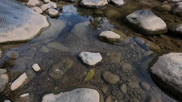 Середня Крупним Планом Чиста Вода Валуни Березі Річки — стокове відео