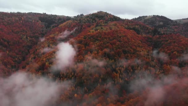 Luchtfoto Mistige Ochtend Boven Wolken Een Oranje Bos Heuvel Panning — Stockvideo