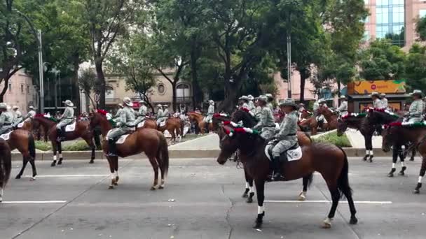メキシコ市での軍事パレード中に前進するのを待っている騎馬兵士のショット — ストック動画