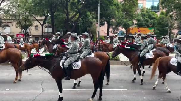 Disparo Caballo Esperando Para Avanzar Durante Desfile Militar Ciudad México — Vídeo de stock