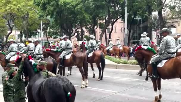 墨西哥城市阅兵式期间一匹马被安静下来的游行镜头 — 图库视频影像