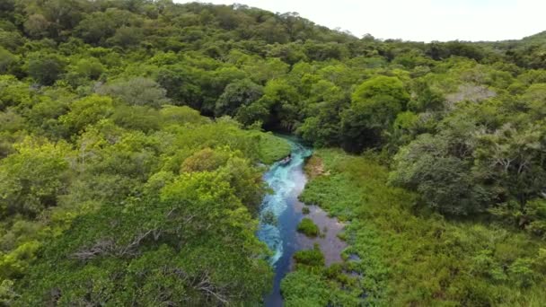 Blauwe Rivier Het Groen Bos Bonito Brazilië — Stockvideo