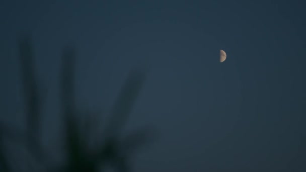 Media Luna Superior Derecha Azul Cielo Nocturno Sin Nubes Sobre — Vídeos de Stock