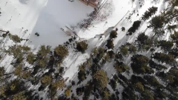 Los Árboles Casa Nieve Por Encima Cabeza Los Aviones Tripulados — Vídeo de stock