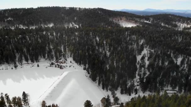 Rozpínající Les Stromů Sněžení Dramatický Vzdušný Dron Video Horizontální Záběr — Stock video