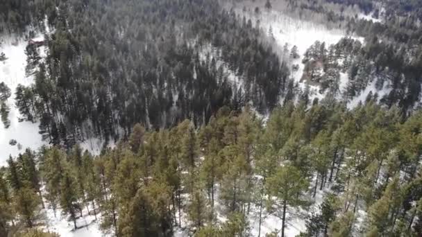 Χιονισμένο Δάσος Στο Mountain Valley Ειρηνικό Κινηματογραφικό Drone Shot Οριζόντια — Αρχείο Βίντεο