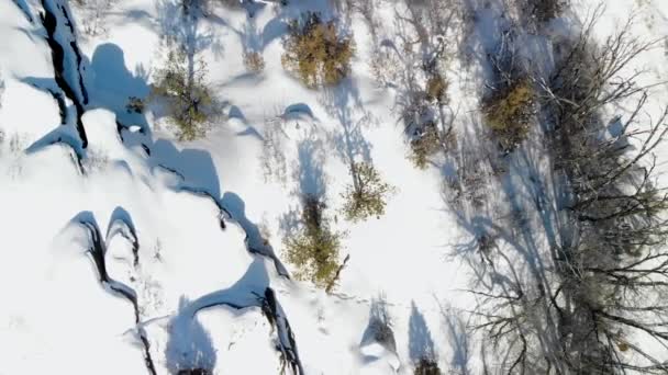 Snowy Landscape Birdseye Overhead Shot Ascending Drone Push Out Aerial — Vídeo de stock