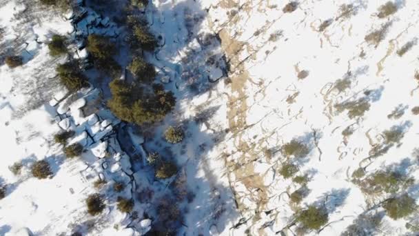 Dramatisk Birdseye Drönare Sköt Overhead Över Snöiga Canyon Colorado Usa — Stockvideo