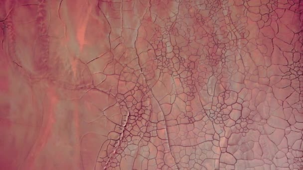 火星人海岸粉红干地碎玻璃质感的自上而下的电影拍摄 就像里约热内卢的铜矿 — 图库视频影像
