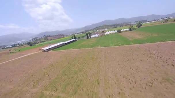 Fpv Kadr Panoramiczny Widok Pól Uprawnych Constanza Valley Dominikana — Wideo stockowe