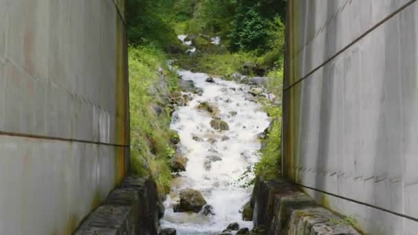 周囲にコンクリートダム構造の森の中を流れる石と小さな小川の風景撮影 曇った夏の日に — ストック動画