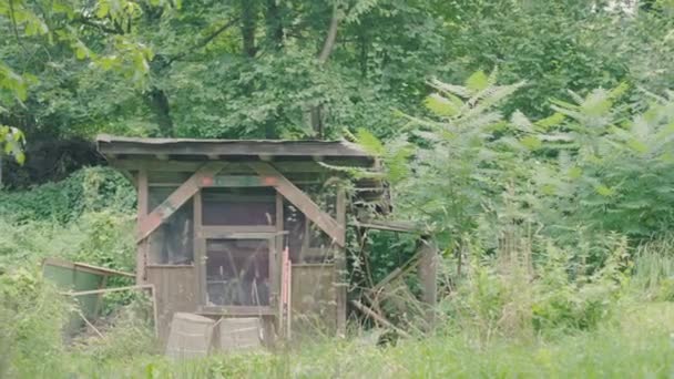 Scenic Shot Wooden Self Made Diy Shelter Hut Woods Grass — Vídeos de Stock