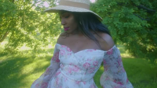 Siyah Genç Kadın Parkta Piknikte Yakından Bakıyor — Stok video
