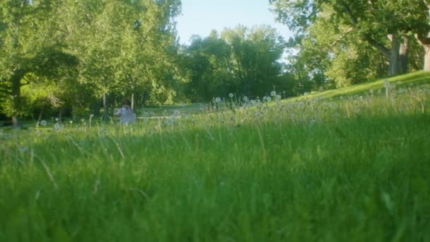 각도의 팬으로 달리는 공원에서 소풍을 즐기고 — 비디오