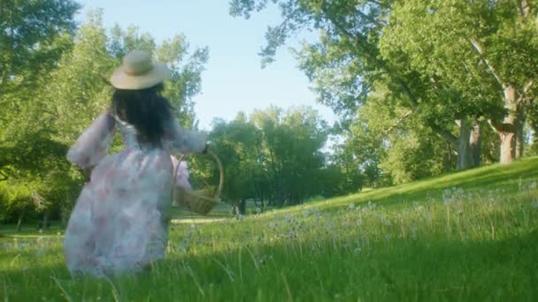 공원에서 각도로 기울어진 소풍을 즐기는 — 비디오