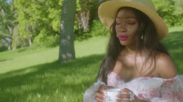 Siyah Kadın Çay Içiyor Piknikte Saçlarını Düzeltiyor Yakın Plan — Stok video