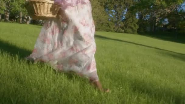 Lovely Black Lady Dress Picnic Basket Walks Barefoot Grass Slomo — Vídeos de Stock