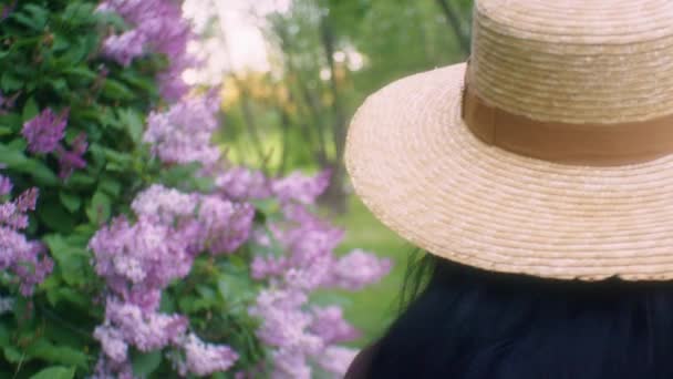 Černá Žena Kráčející Dotýkat Květiny Šeříky Široká Pánev Zblízka — Stock video