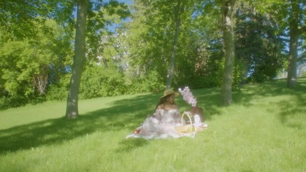 Černá Žena Sleduje Vzdávání Úsměvu Parku Piknik Přikrývka — Stock video
