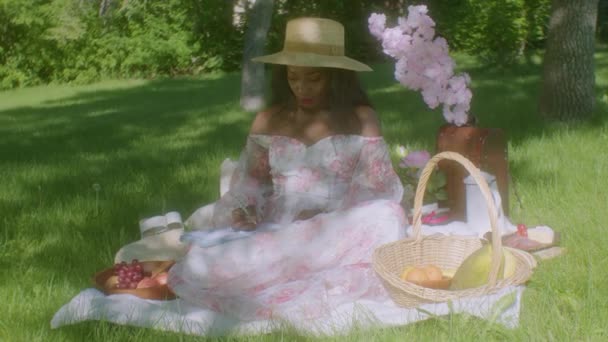 Black Woman Writing Turning Page Park Picnic Blanket — Vídeo de stock