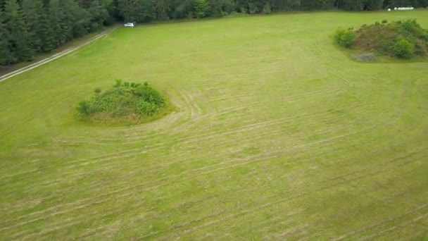 デンマークの緑のフィールドに複数の埋葬マウントクルガン 航空機の右側 — ストック動画