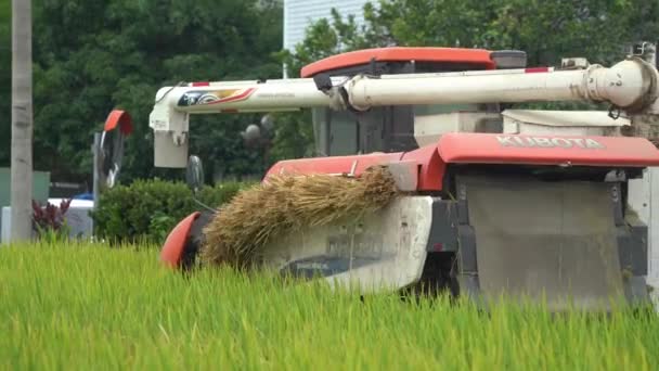 Φορητή Κίνηση Που Αποτυπώνει Πολυλειτουργικό Τρακτέρ Συγκομιδής Ρυζιού Καλλιεργούμενο Ορυζώνα — Αρχείο Βίντεο