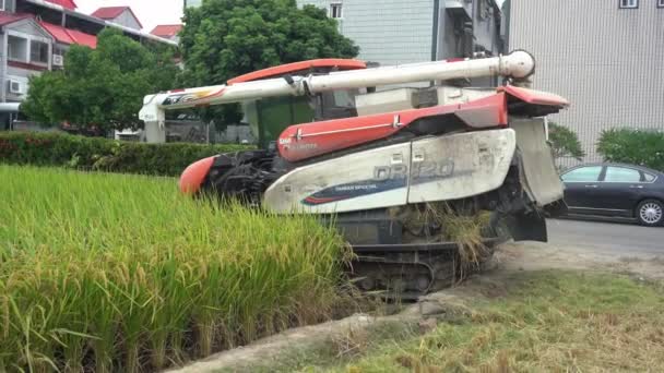 Multifunctional Machine Rice Harvester Tractor Driving Cultivated Rice Paddy Field — Stock Video