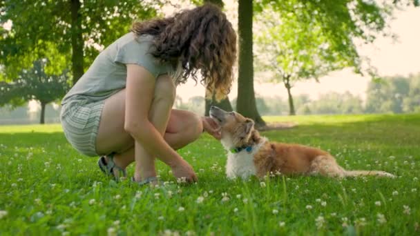 Uczuciowy Właściciel Zwierząt Trener Psów Pieszczoty Zdrowy Pies Miłością Uczucia — Wideo stockowe