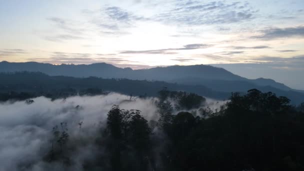 空中ドローンパンは 曇った朝にスリランカのリトル アダムズ山頂で撃たれました — ストック動画
