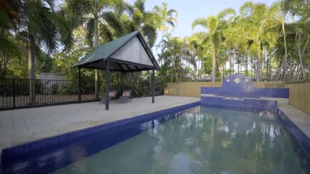 Large Pool Tropical Palm Trees Long Stretching Shot Water Pool — Vídeo de stock