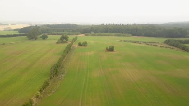 デンマークの保存されたパトリモイン フィールドの真ん中に古墳埋葬塚 空中ドローン — ストック動画