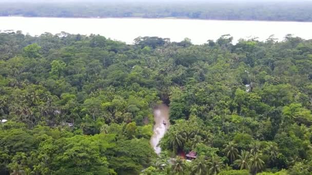 Повітряні Сільські Краєвиди Лісом Річкою Бангладеш Птахи Дивляться Дрони Амазонський — стокове відео