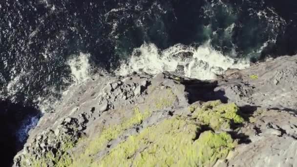Bird Eye View Famous Cliffs Moher Ireland Sunny Day Ocean — Vídeos de Stock