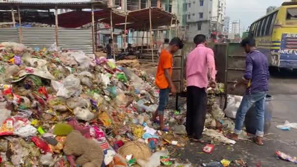 Pekerja Daur Ulang Limbah Dari Van Tempat Pembuangan Sampah Perkotaan — Stok Video