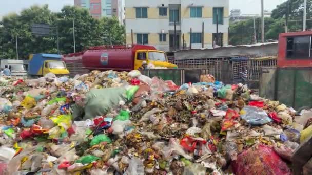 Pemetik Sampah Memilah Milah Tumpukan Sampah Tempat Sampah Pinggir Jalan — Stok Video