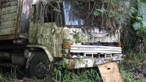 트럭을 날씨에 나무가 우거진 버렸다 — 비디오