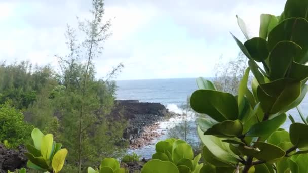 Beautiful Deep Blue Ocean Crashes Rocky Shore Big Island Hawaii — Vídeo de stock