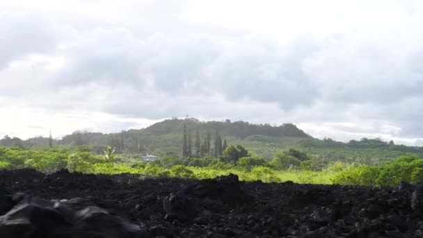 Широкий Снимок Большого Острова Гавайи Затвердевшей Лавовой Скалой Зелеными Лесными — стоковое видео