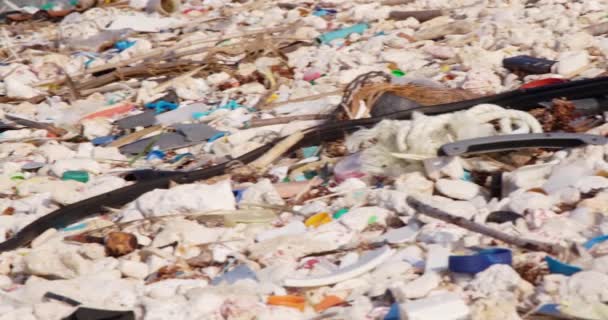 在加勒比地区 人造塑料碎片和垃圾被缓慢地冲刷到岩石海岸上 — 图库视频影像