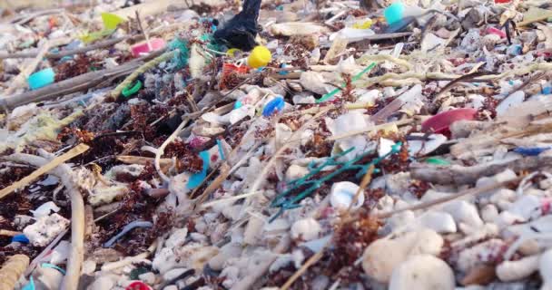 把堆在热带海滩上的垃圾集中起来 — 图库视频影像